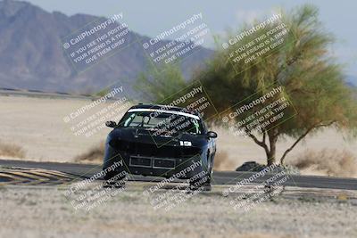 media/Oct-12-2025-Lucky Dog Racing (Sun) [[8adb5568ea]]/3-Third    Stint/4-Turn 4 (Tree of Life)/